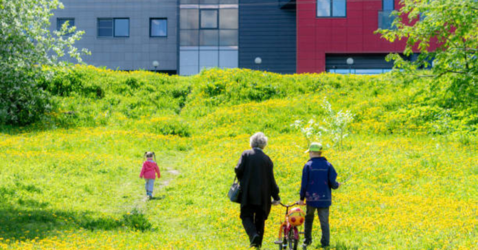 Green Granny Flats