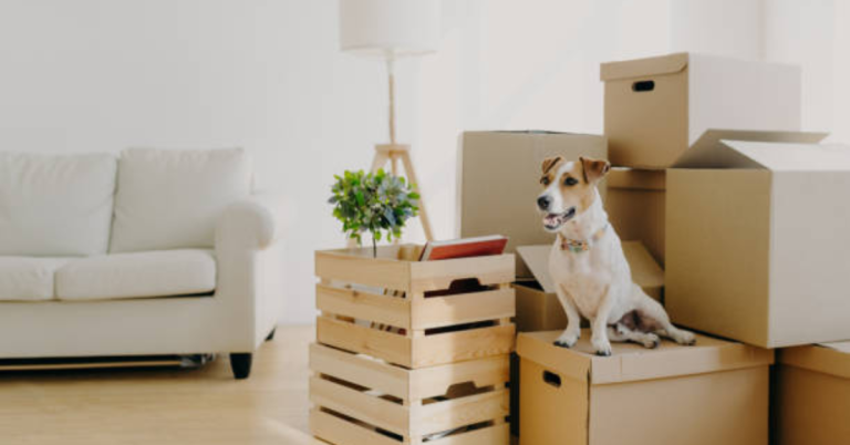 Long-Distance Moving With Pets