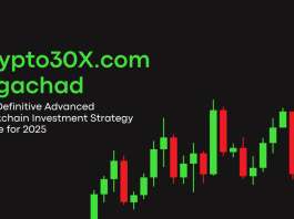 Crypto30X.com Gigachad