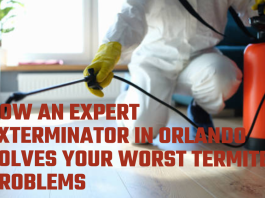 How an Expert Exterminator in Orlando Solves Your Worst Termite Problems
