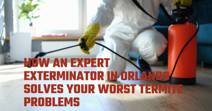 How an Expert Exterminator in Orlando Solves Your Worst Termite Problems