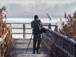 Photographers Who Crave Story Over Scenery