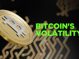 Bitcoin's Volatility