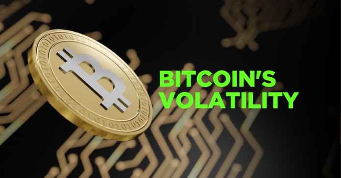 Bitcoin's Volatility