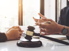 Criminal Lawyer