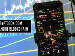 Crypto30x.com Avalanche