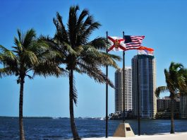 Stars That Live in Miami